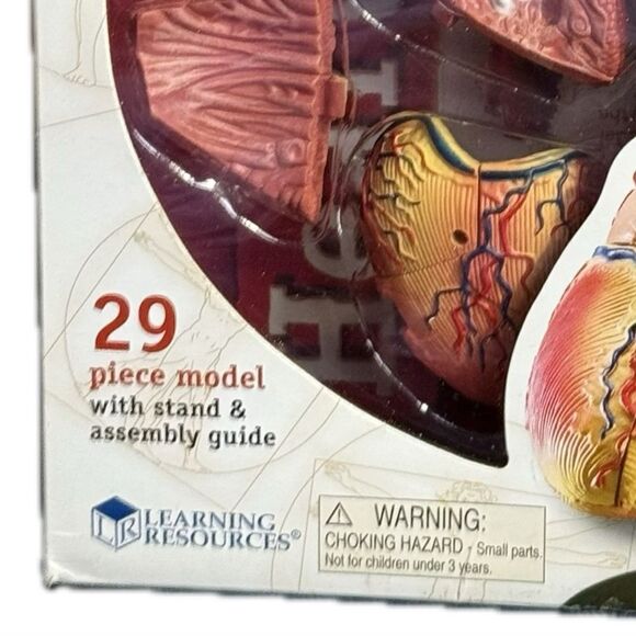 Learning Resources Human
Anatomy Model LER 3334 The Heart
29 Piece Model - Picture 2 of 6